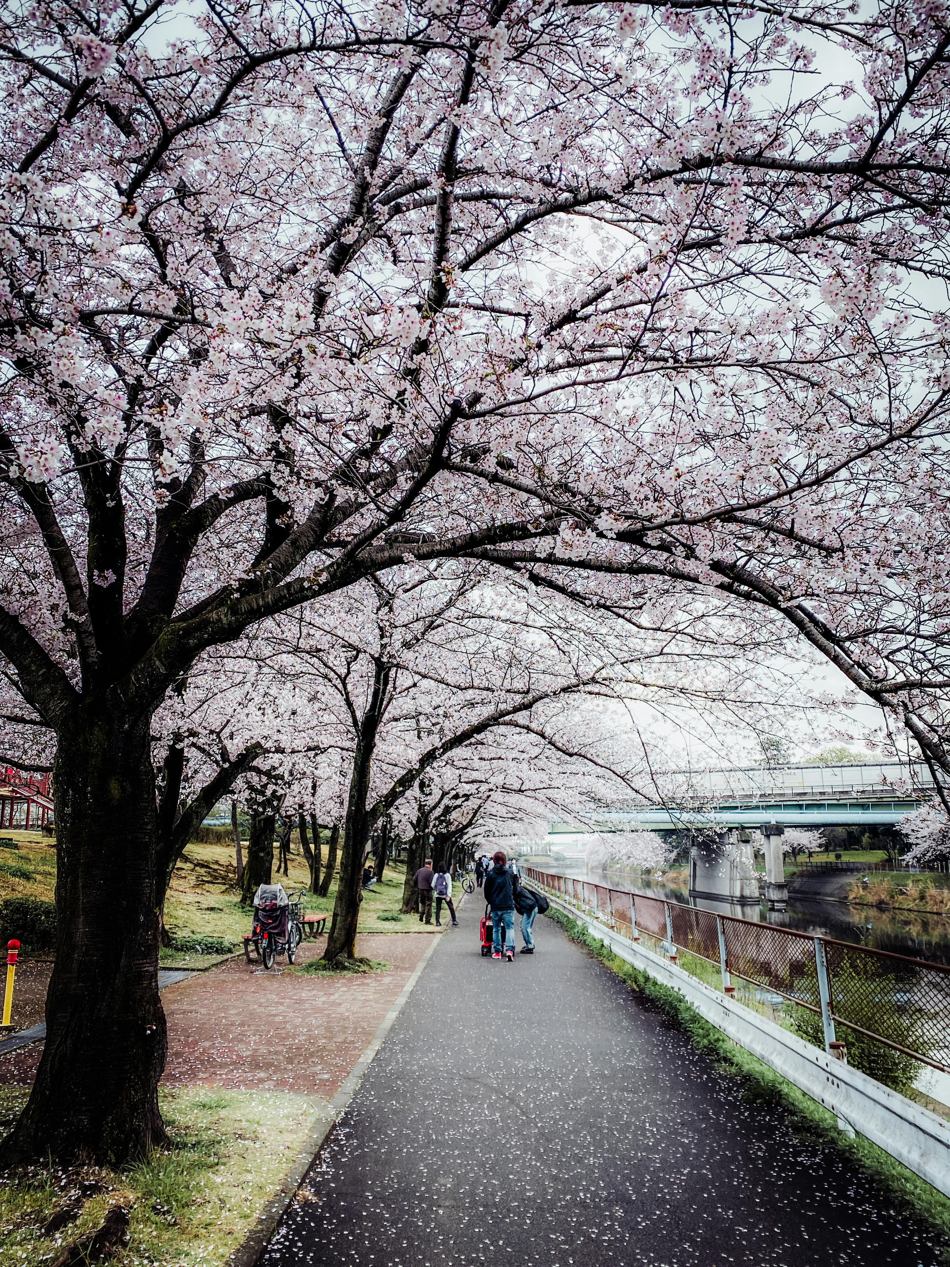 BRAINROT ANIME OPENING but butBRAINROT FAMILY ANIME BRAINROT but it's FNAFGIRL BRAINRO