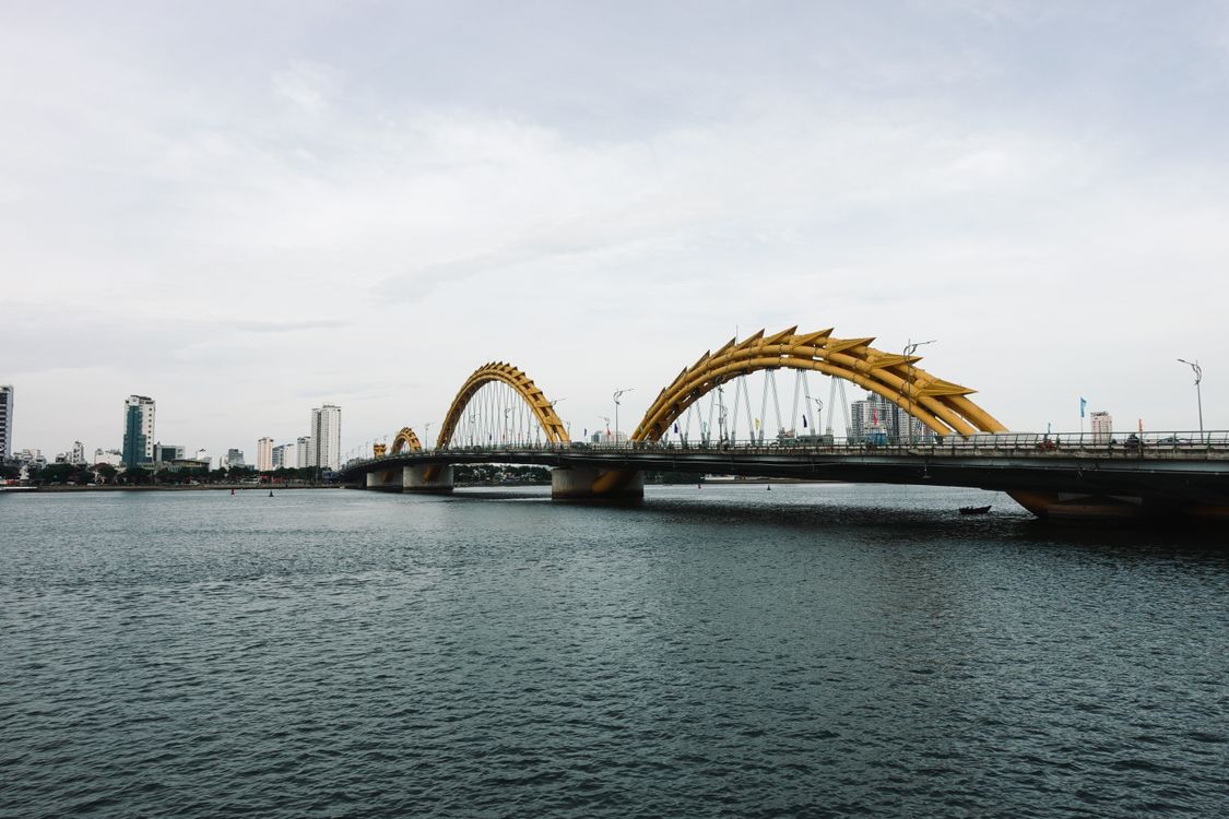 giải pháp lưu trú đà nẵng khi có thú cưng