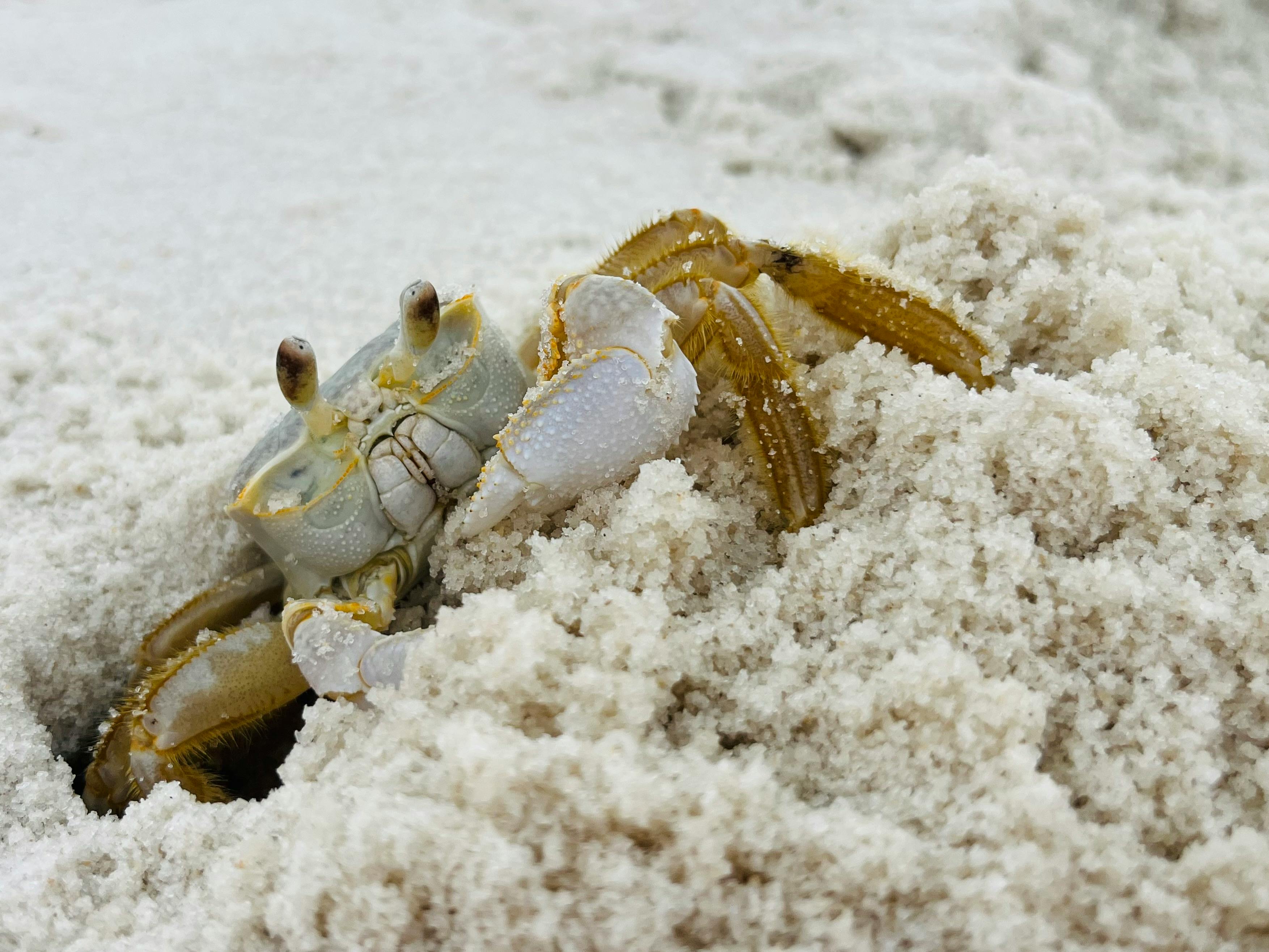 財經：騰訊龍蝦全國免費安裝計劃啟動，為期40天助你輕鬆上手