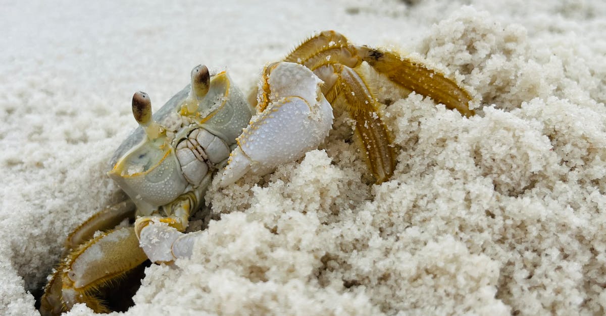 財經:騰訊龍蝦全國免費安裝計劃啟動,為期40天助你輕鬆上手