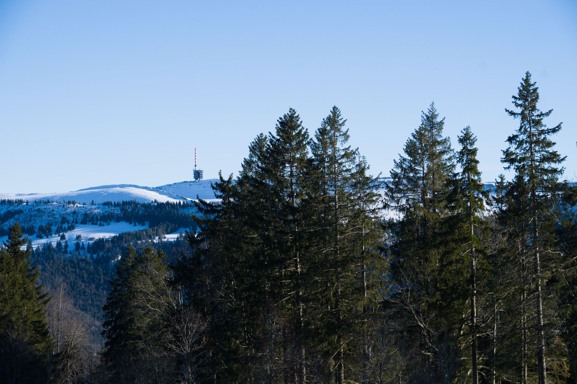 Snowy mountain landscape with evergreen forest and telecom tower under clear blue sky.