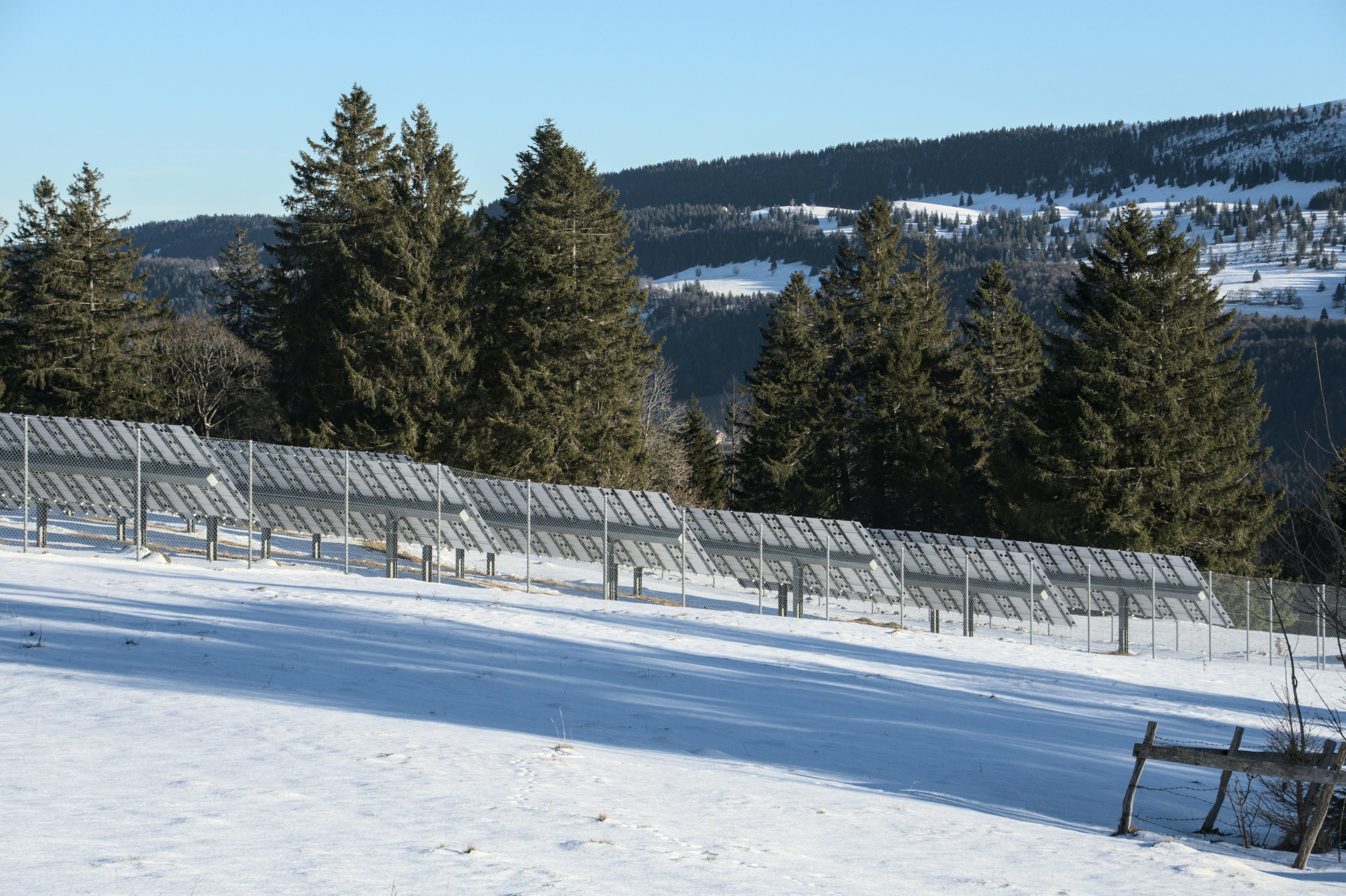 There is nothing new about renewable energy: Tracing the life of solar panels — Photo by Jean-Paul Wettstein on Pexels