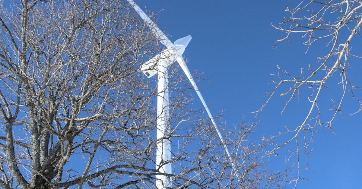 泓德透過ZEBRE平台投資澳洲111MW大型儲能案場,搶攻綠能商機