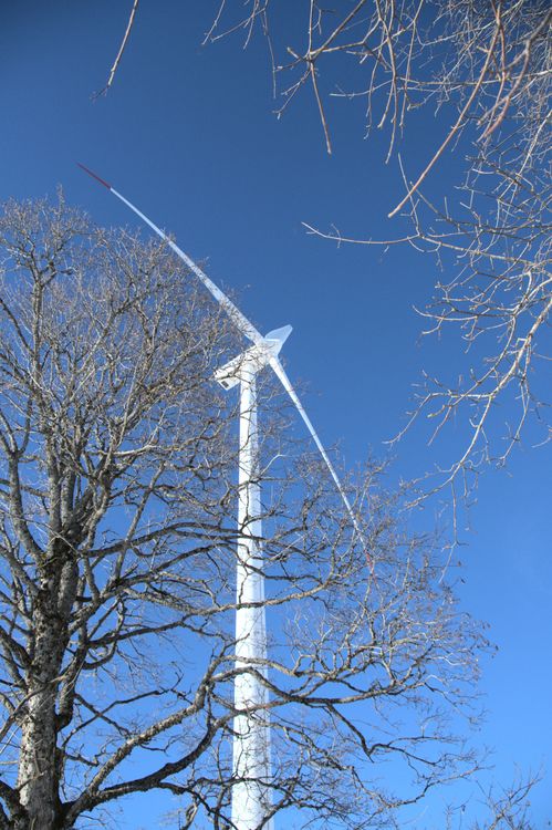 Foto de stock gratuita sobre aerogenerador, al aire libre, árboles sin ...