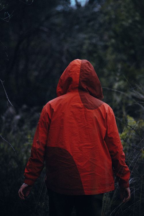 Person In Red Person in Red Jacket Exploring a Forest · Free Stock Photo