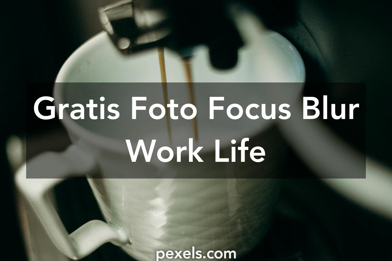 1000 Focus Blur Work Life Foto Pexels Foto Stok Gratis