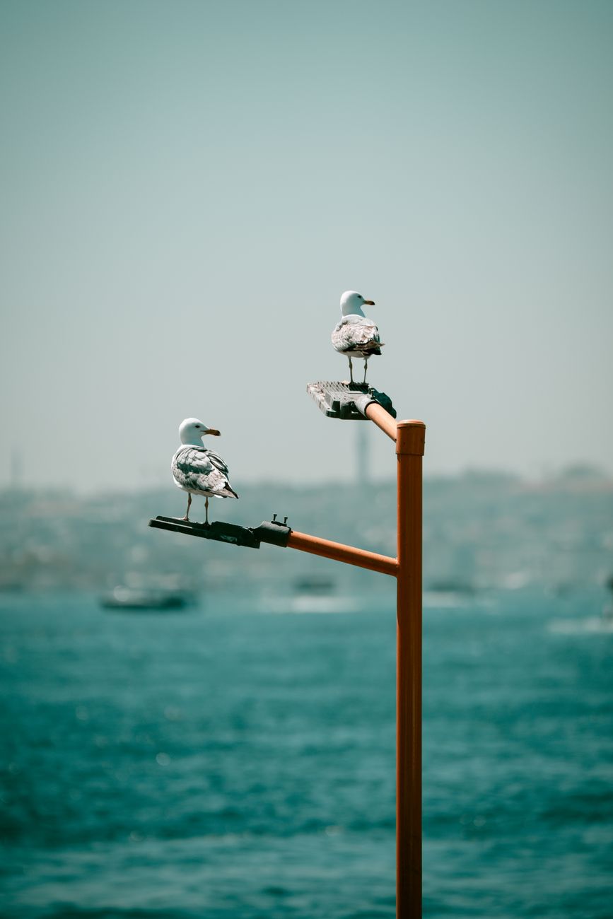 Chef de gangue déclaré coupable de la mort de Tupac