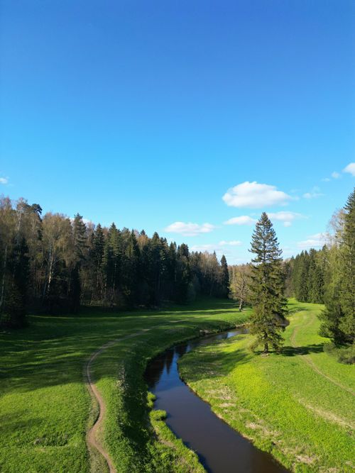 Free A tranquil river meanders through a lush green forest under a clear blue sky. Stock Photo