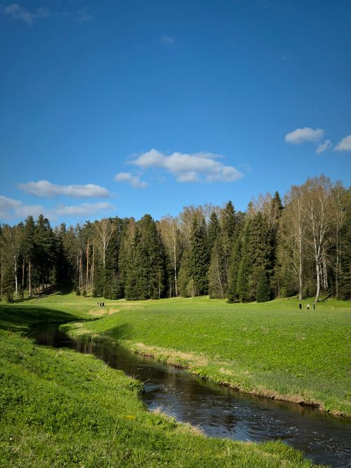 Free Peaceful springtime scene featuring a lush field, river, and forest under a clear blue sky. Stock Photo