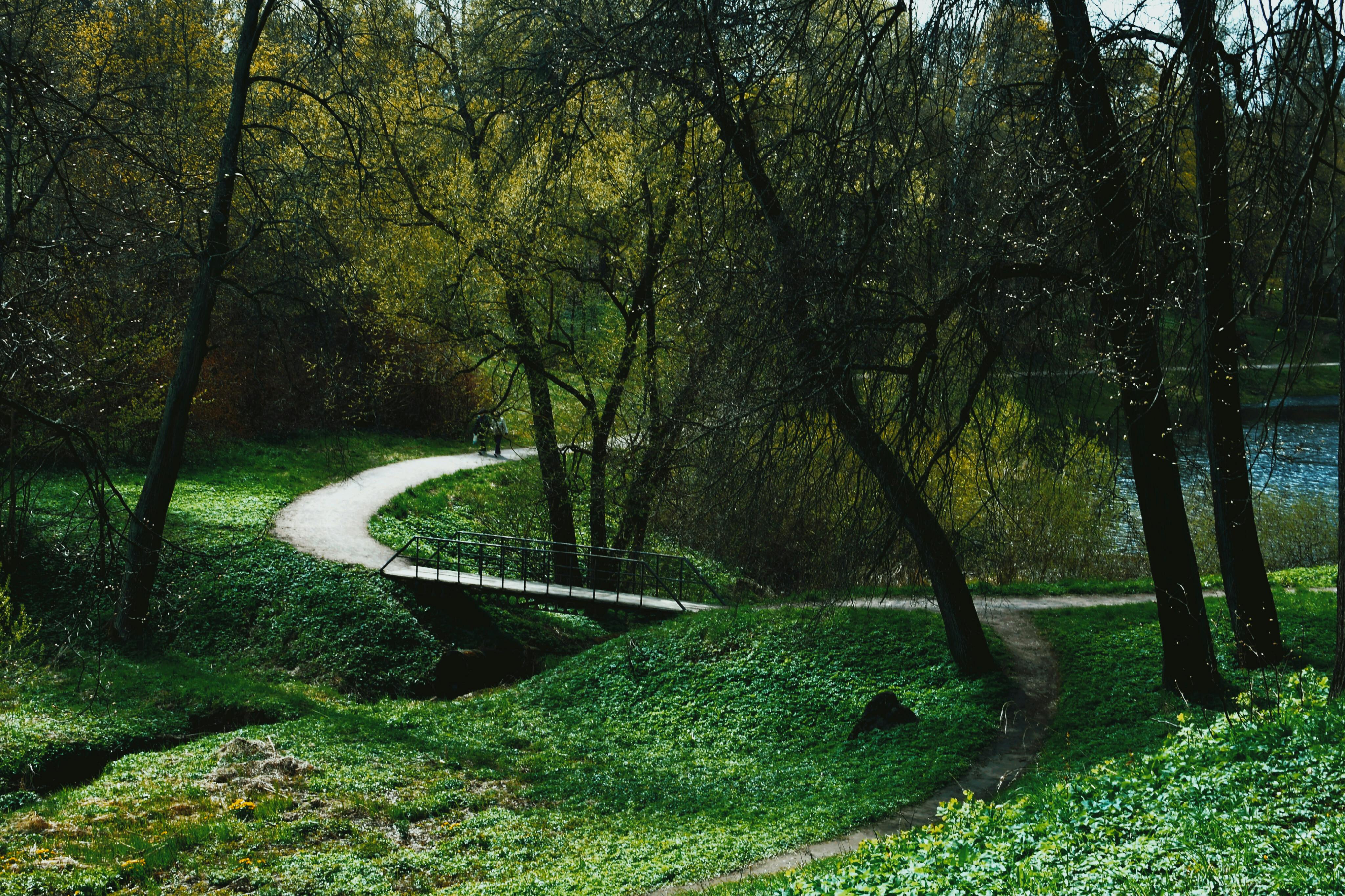 scenic walking trails and parks near edgewater - edgewater apartments and townhomes