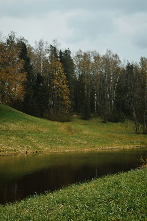 Free Tranquil autumn scene showcasing a calm pond surrounded by colorful trees under a cloudy sky. Stock Photo