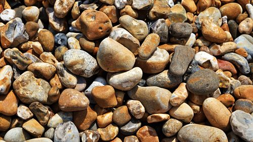 Free Close-up of assorted colorful pebbles on a beach, showcasing earth tones and textures. Stock Photo