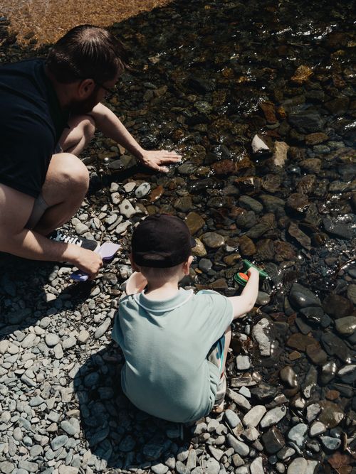 Free A father and son engage in rock skipping by a serene riverbank on a sunny day. Stock Photo