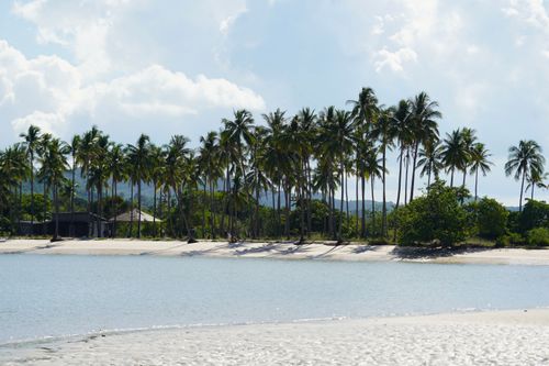Free Scenic tropical beach with palm trees, clear sky, and sandy shores. Stock Photo