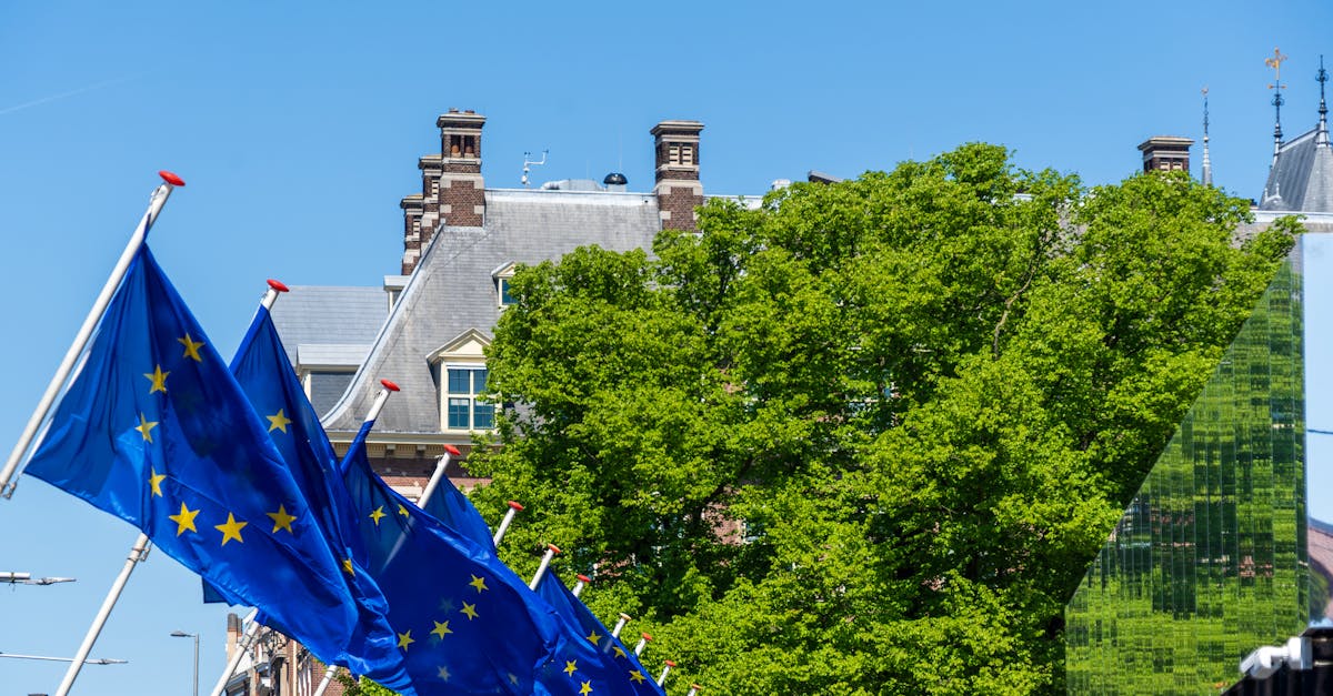 曹興誠痛批國民黨:把台灣人推向地獄,罷免只是輕微處罰!