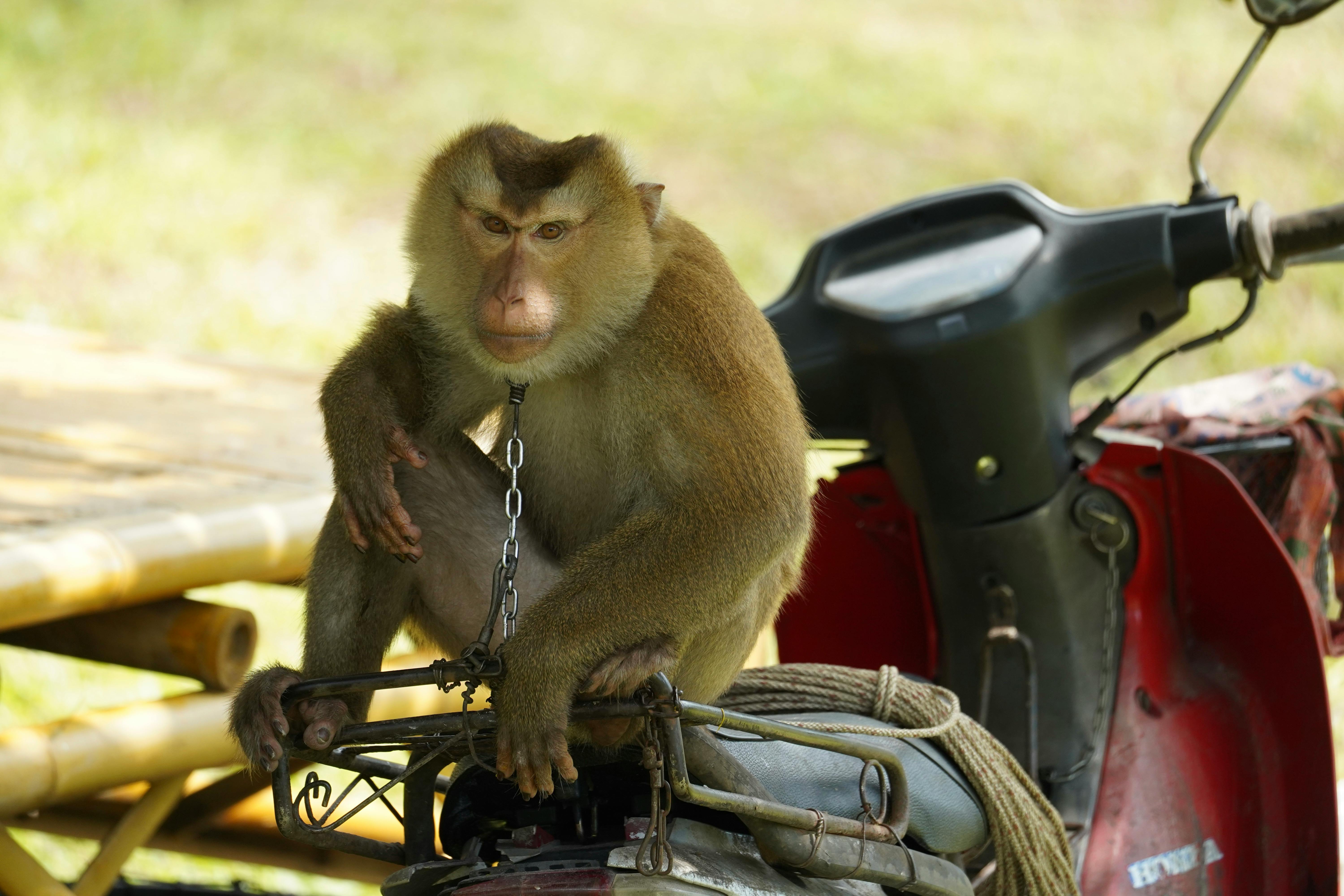 Desert landscape showing extreme sun exposure conditions