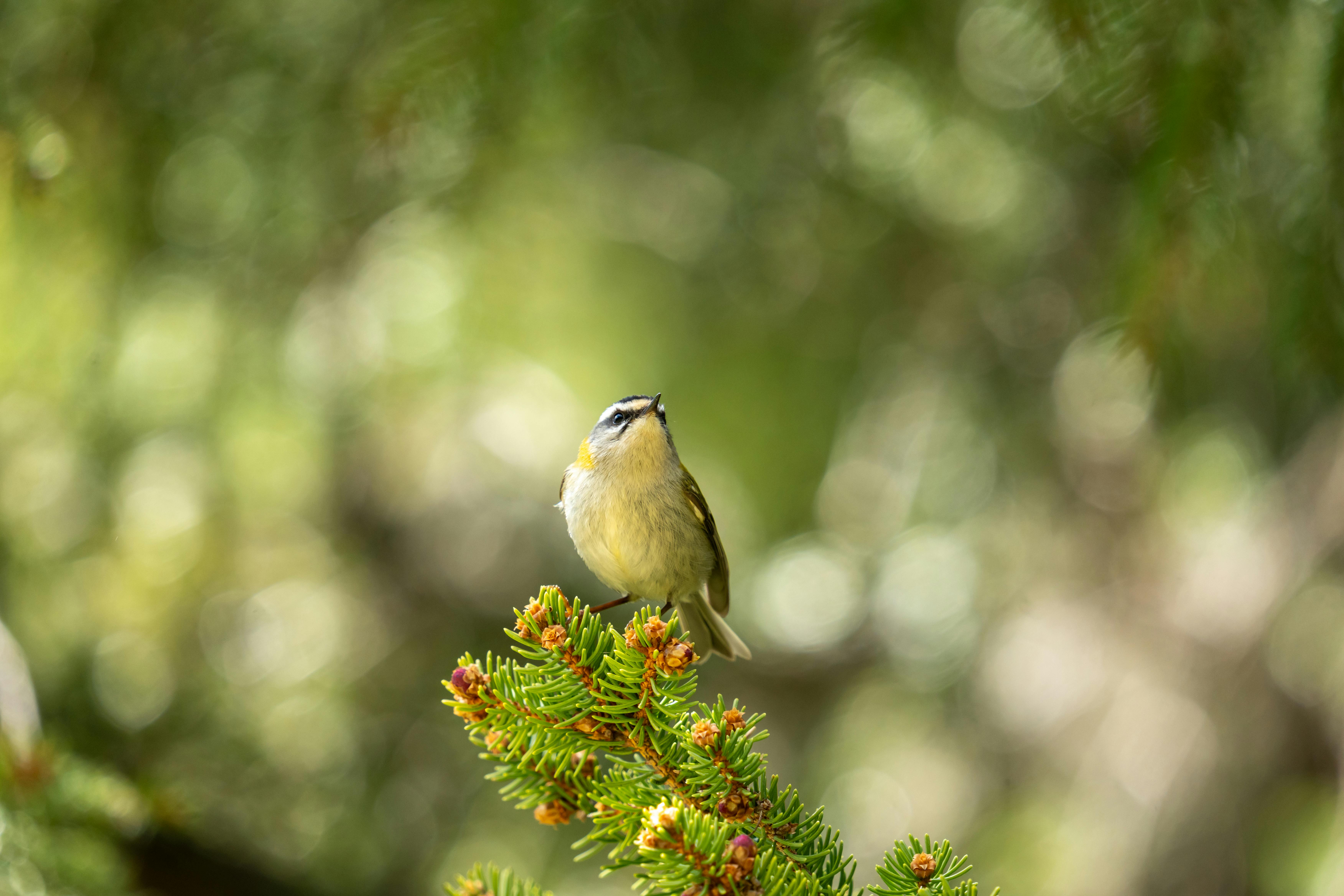 ## Avoiding Common Pitfalls