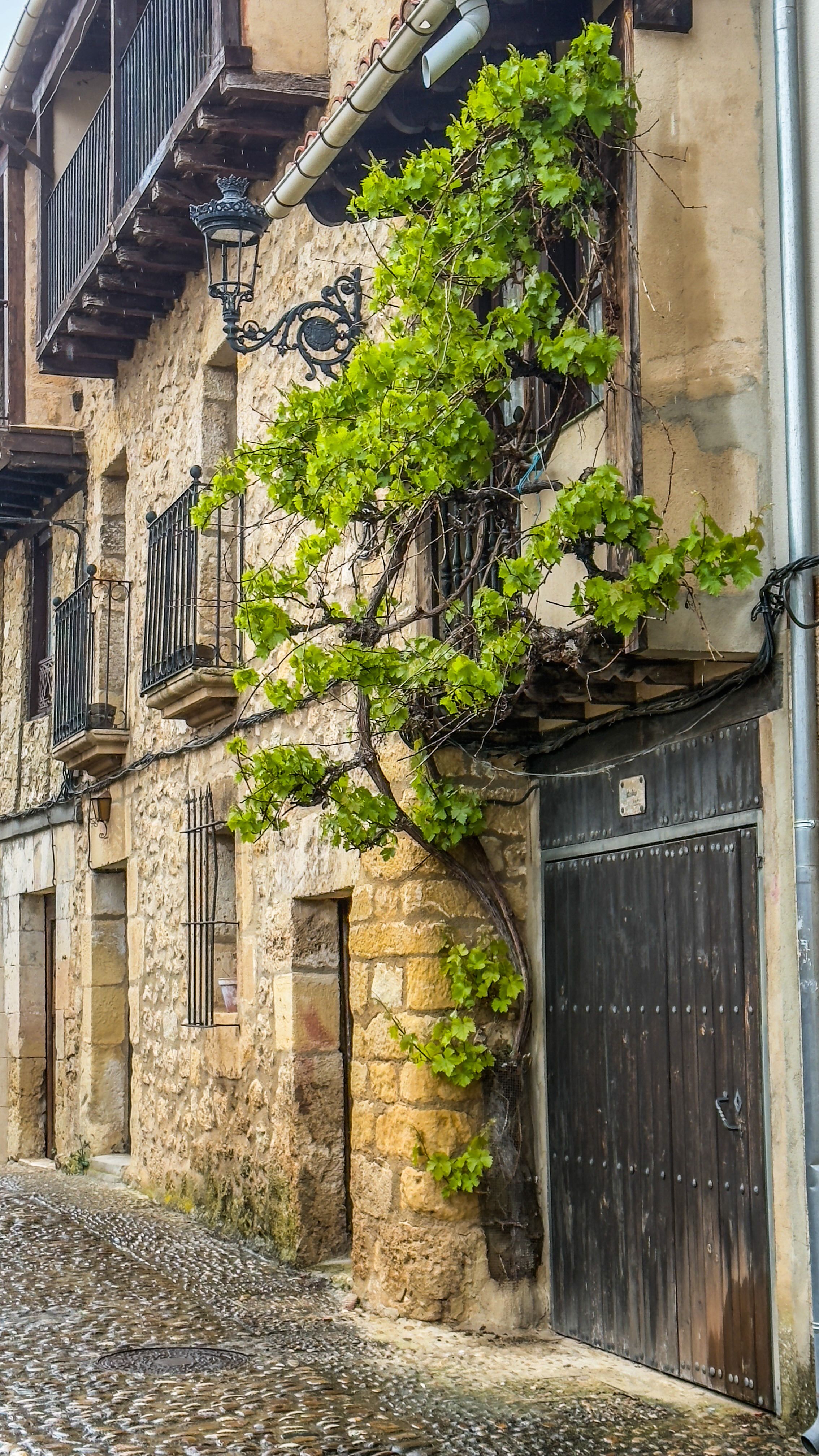 Charming Stone Street with Ivy-Laden Wall