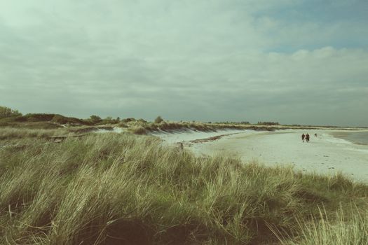 Peaceful beach scene with grassy dunes and two people walking along the shoreline.