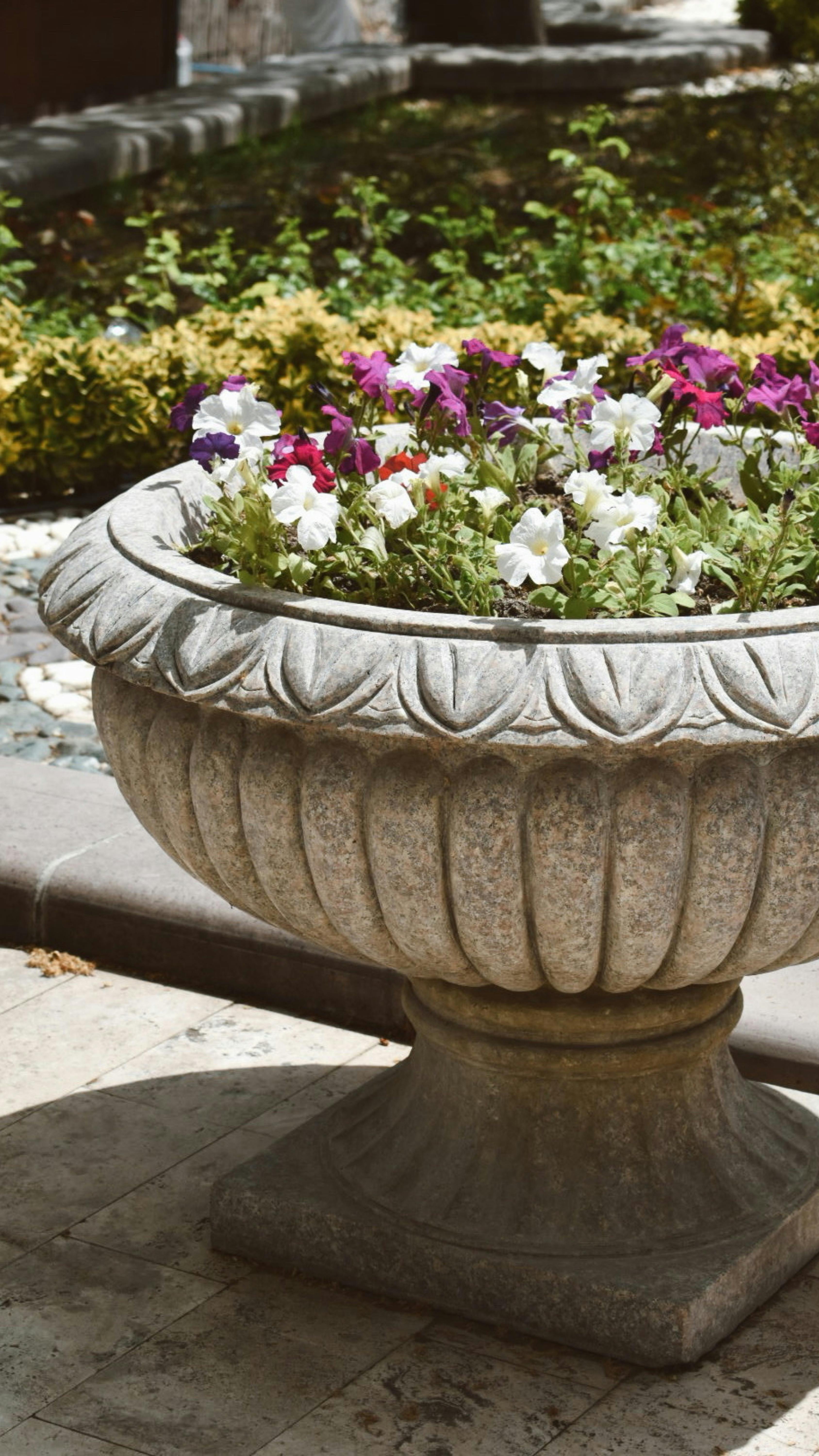Vibrant flowers bloom in a detailed stone planter outdoors in summer.