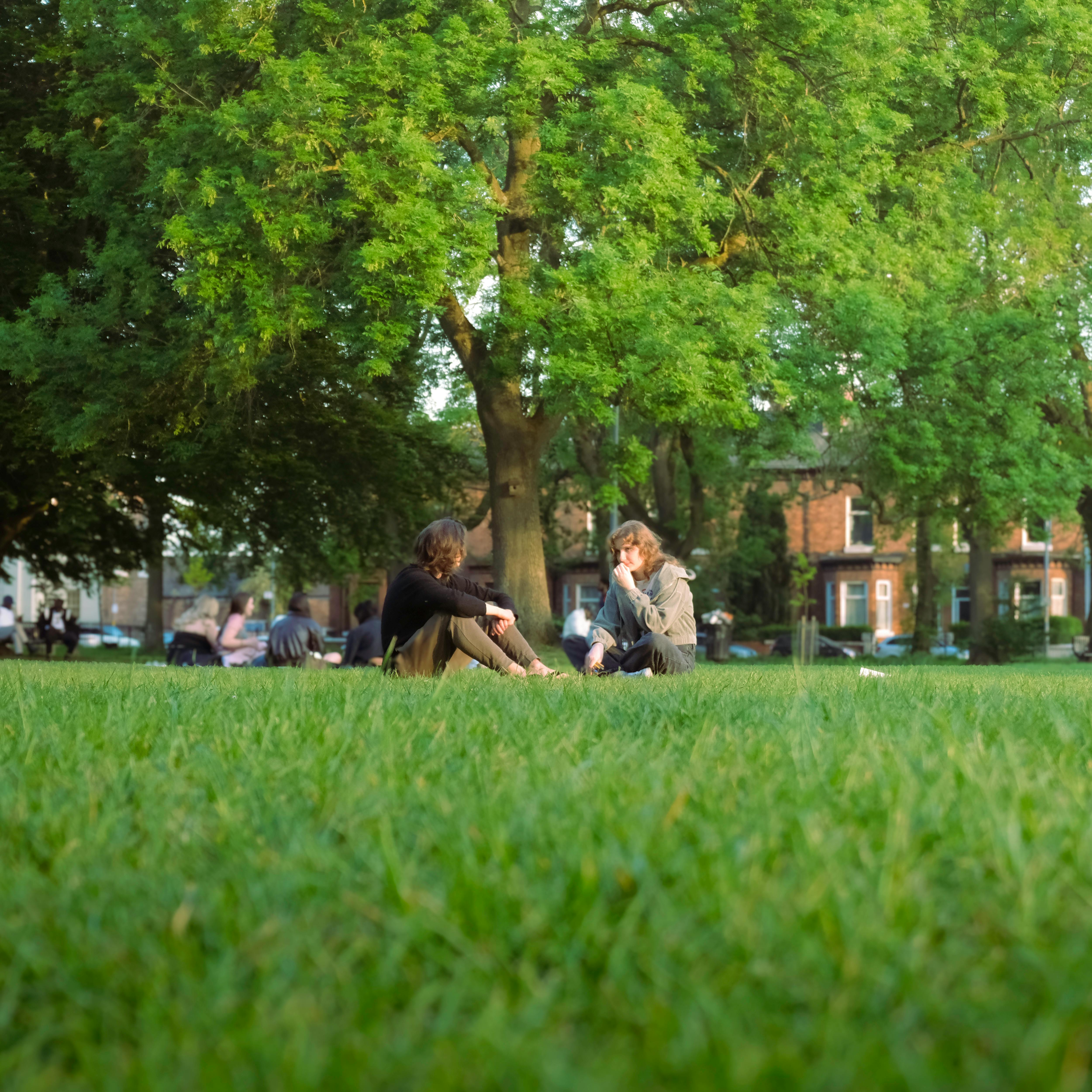 Two friends enjoy a relaxing day in a sunlit park with lush greenery.
