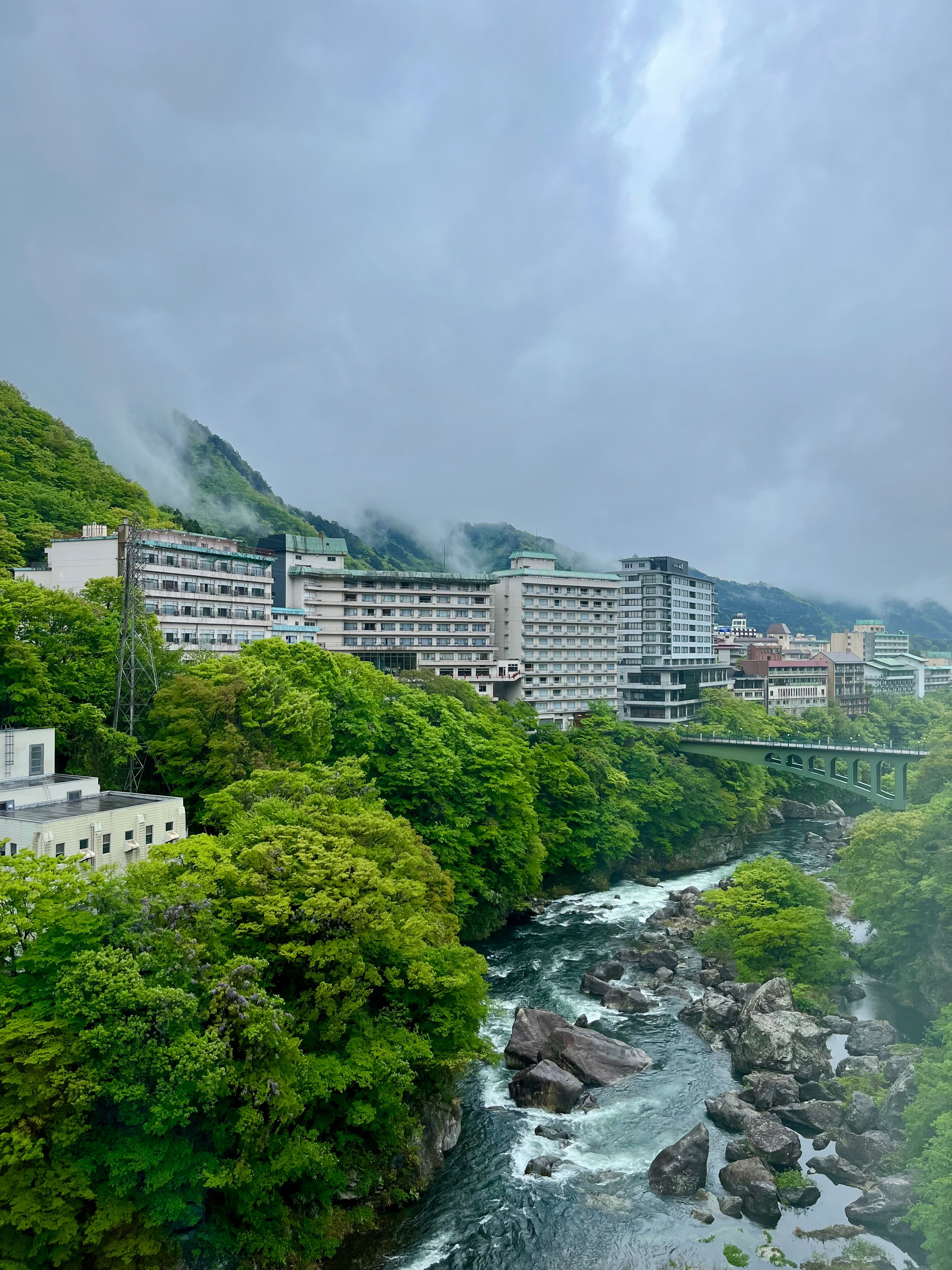 Jungle Upper View Photos, Download The BEST Free Jungle Upper View ...