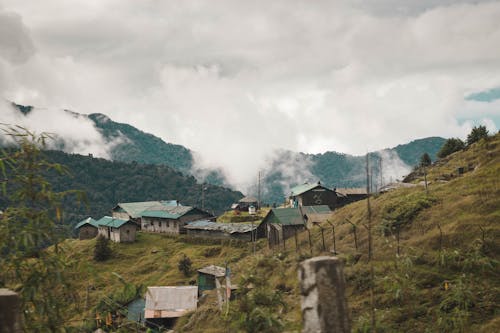 Free stock photo of autumn, beauty, gangtok