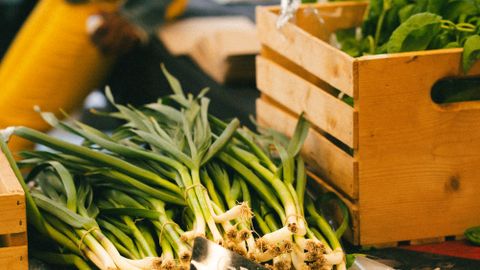 Bunches of fresh green garlic displayed at a local farmer's market with wooden crates.