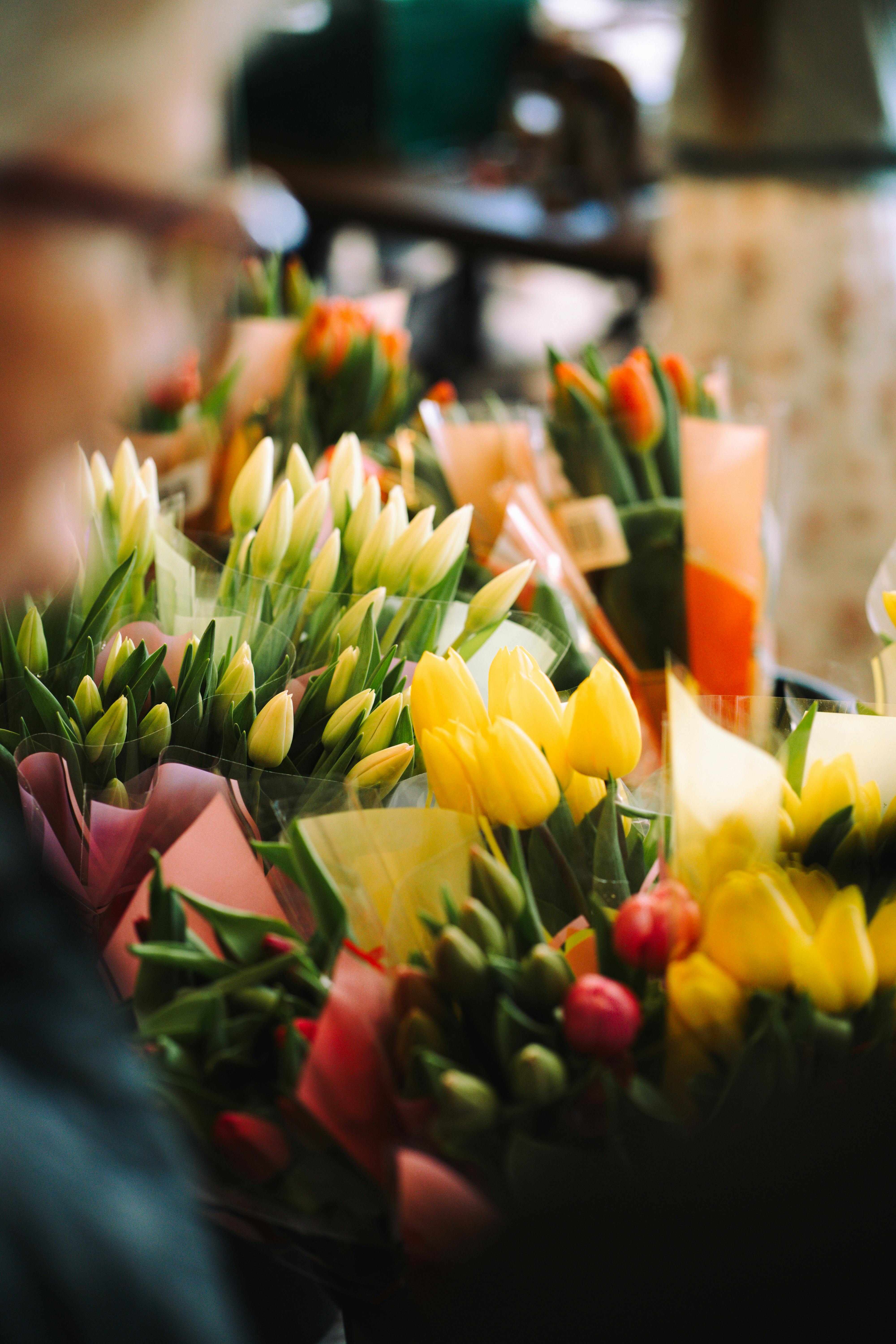 [ColoSach]-colorful-tulip-bouquets-wrapped-in-paper-on-display-at-a-local-flower-market.