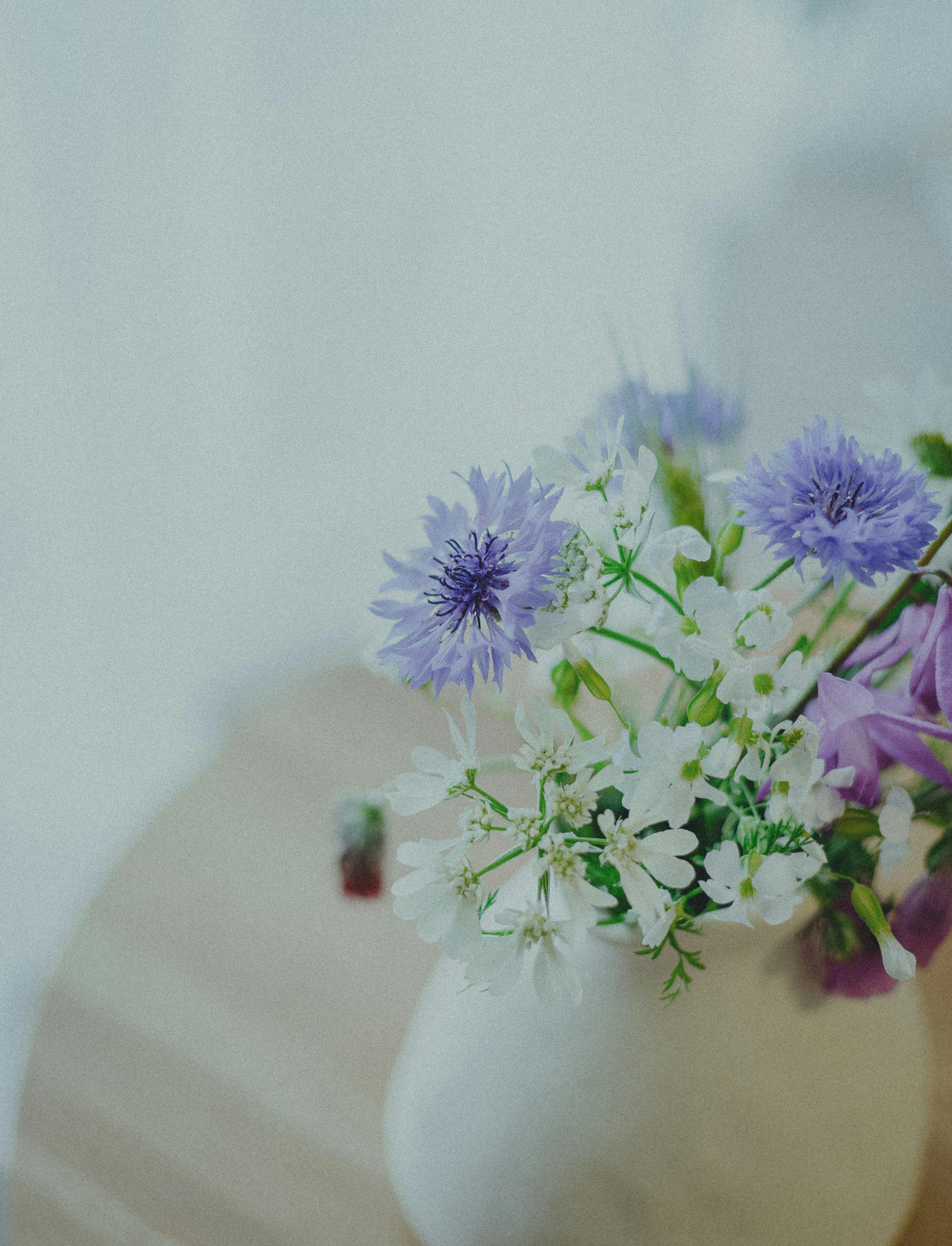 Uncensored+Japanese+Wife+Memorial+Photoshoot Photos, Download The BEST