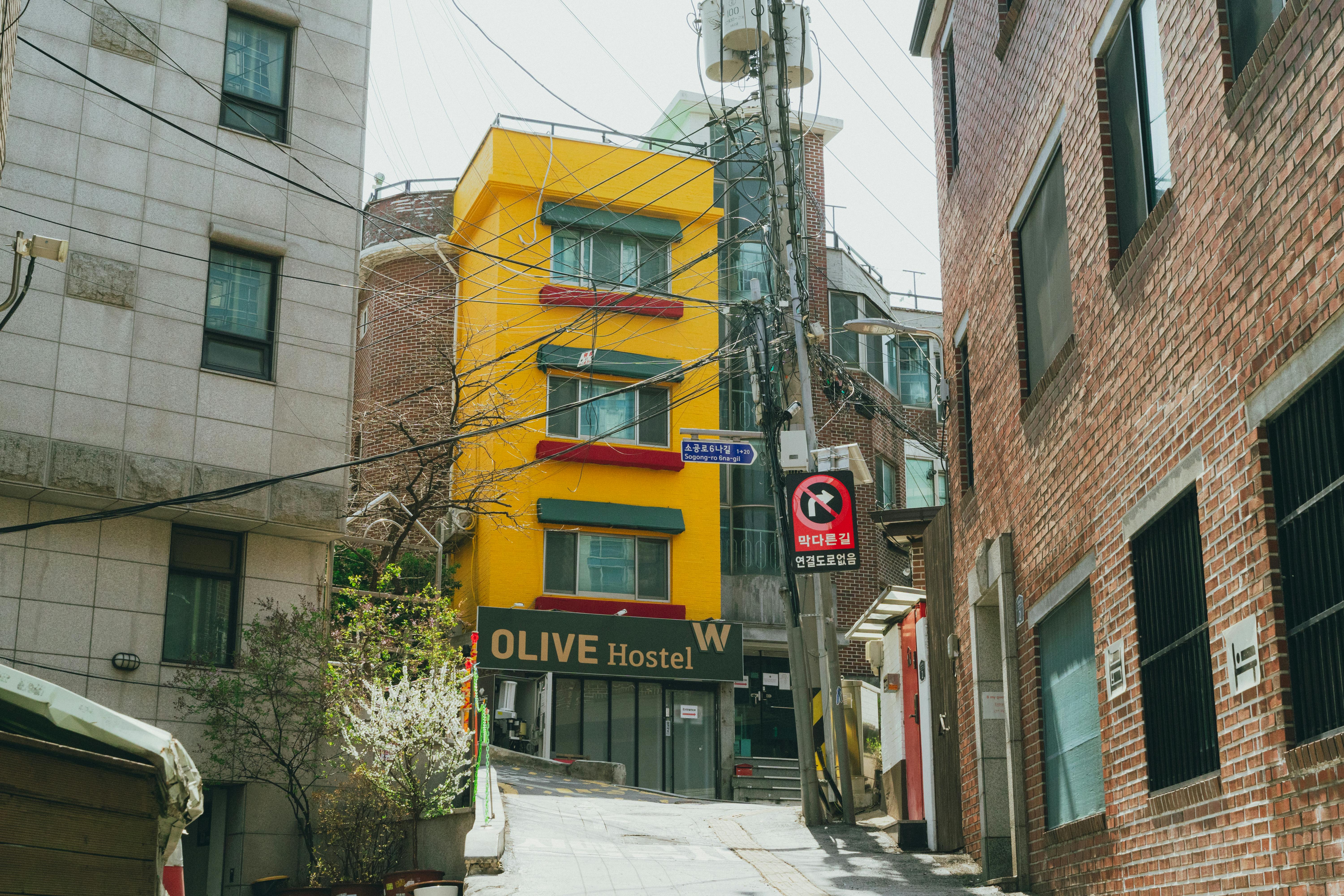 Bright buildings and street signs in a vibrant Seoul neighborhood
