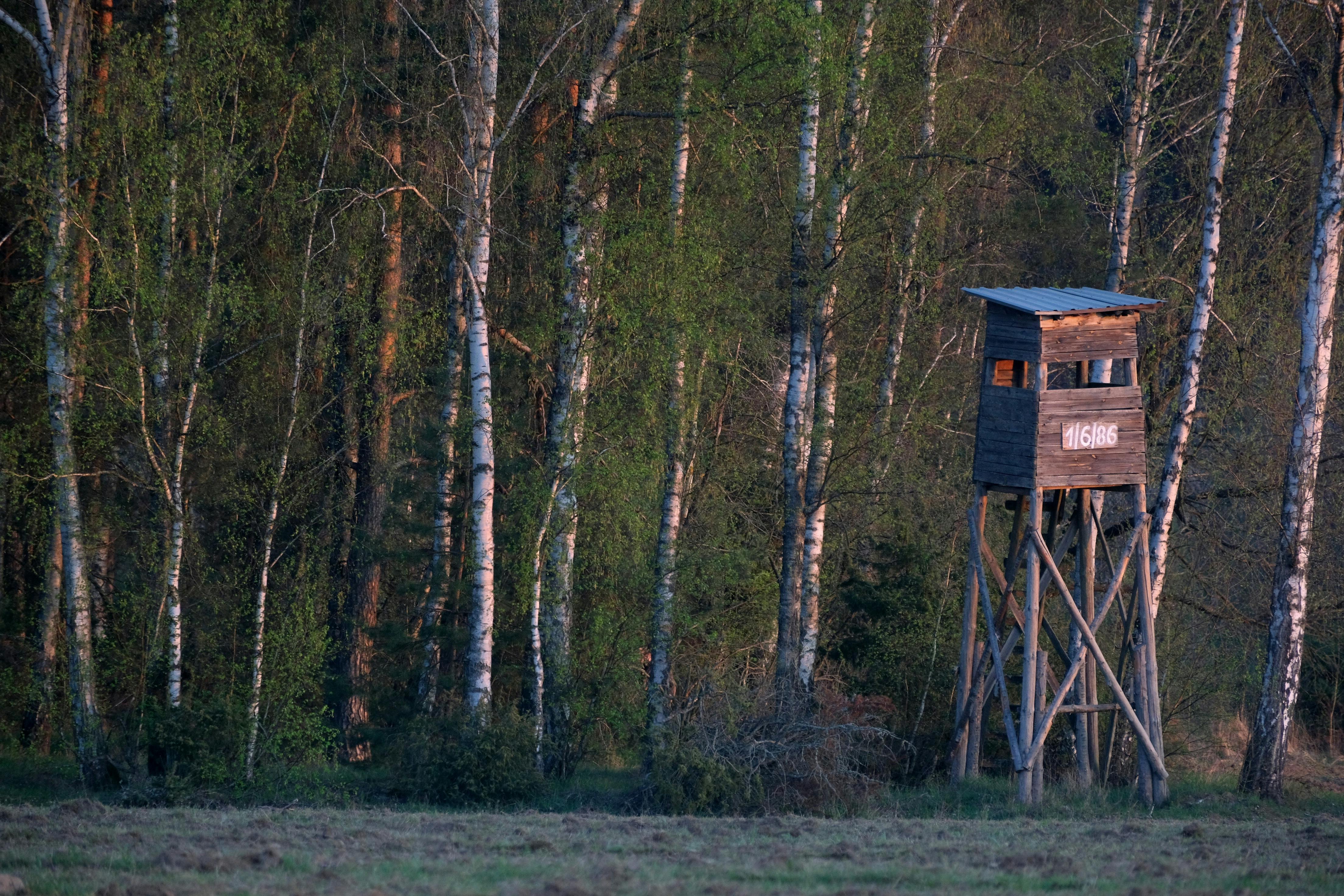 Hunting &amp; Outdoor Adventure Show at QCCA Expo Center, Rock Island, Feb. 12-15 — Photo by Roman Biernacki on Pexels