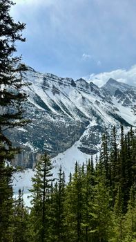 Majestic snow-covered mountains with lush evergreen trees under a clear blue sky.