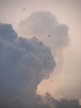 Captivating clouds and flying birds captured in the afternoon sky of Vietnam.