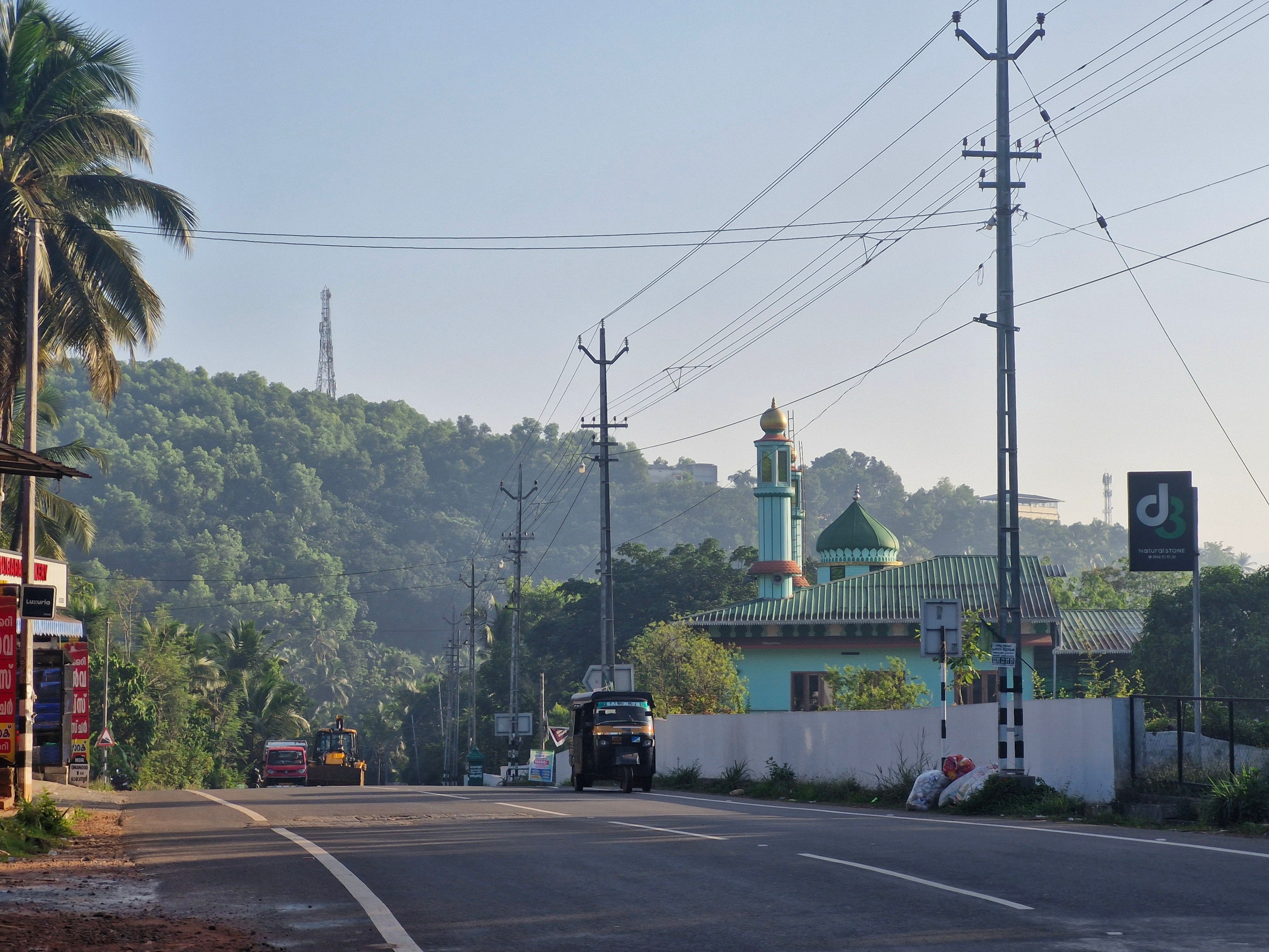 Glenella