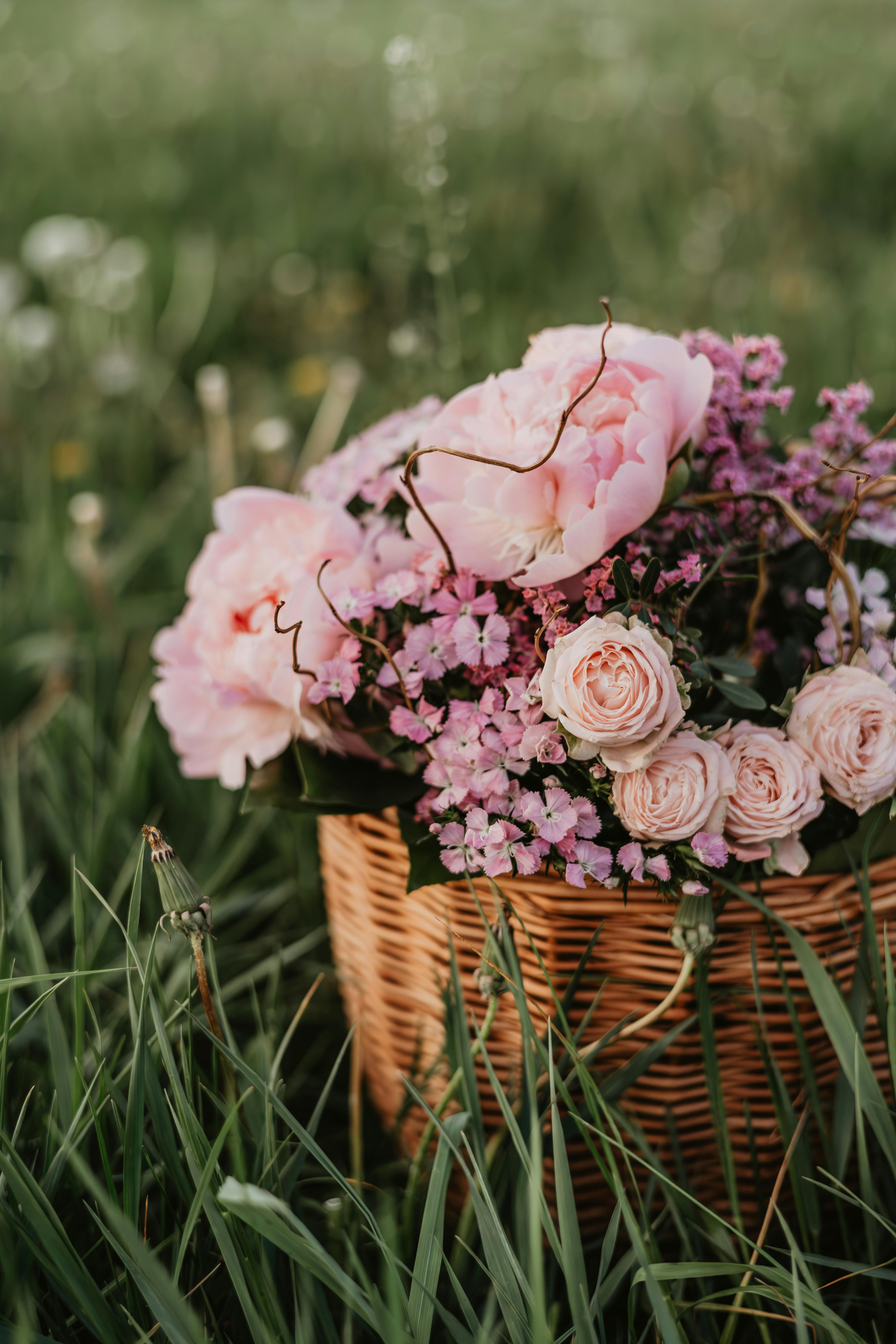 A wicker basket filled with pink peonies and roses resting in lush green grass, creating a serene natural scene.