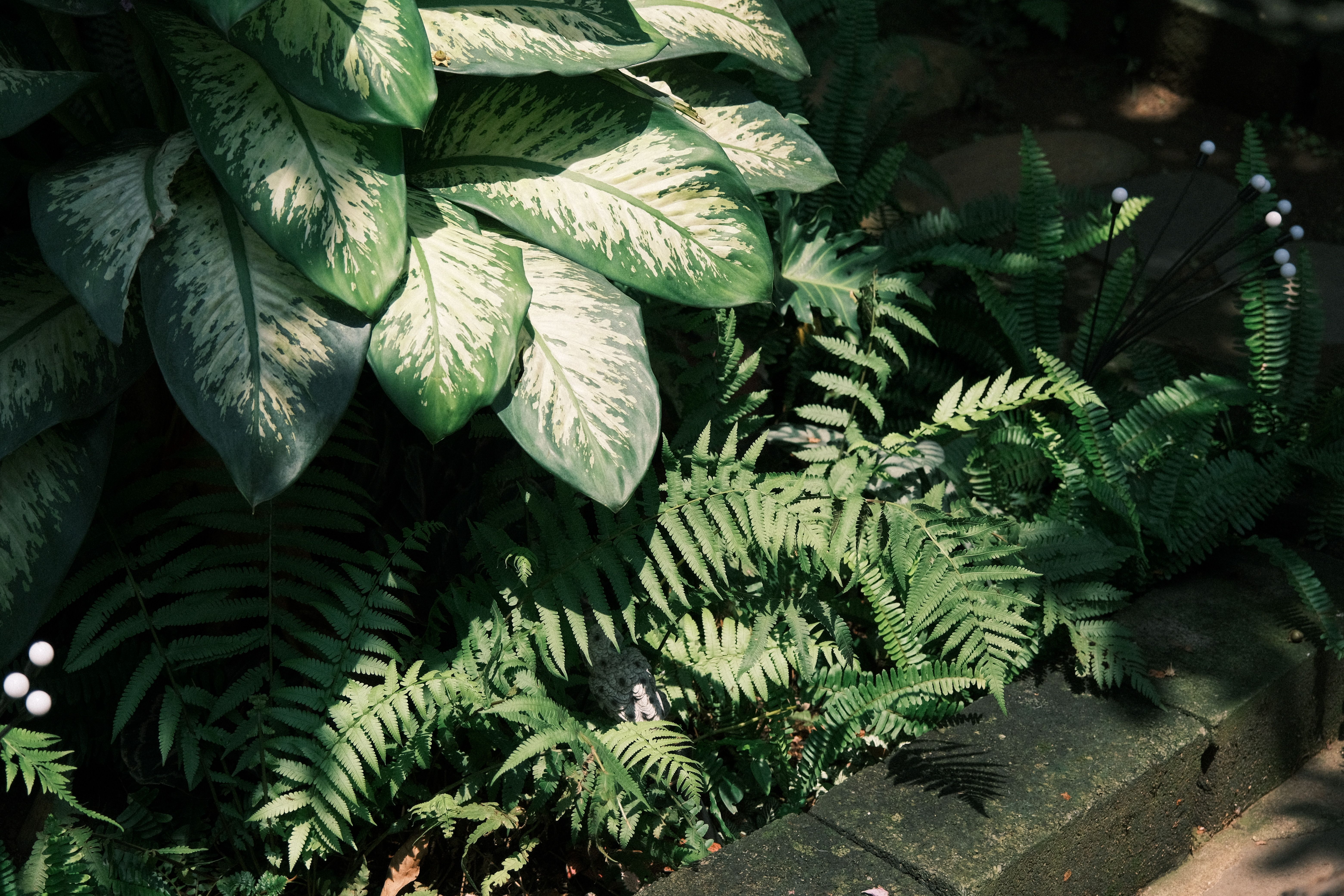 Les erreurs courantes en jardinage et comment les éviter