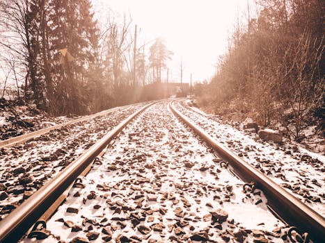 铁路轨道被白雪覆盖，四周树木环绕，阳光洒落