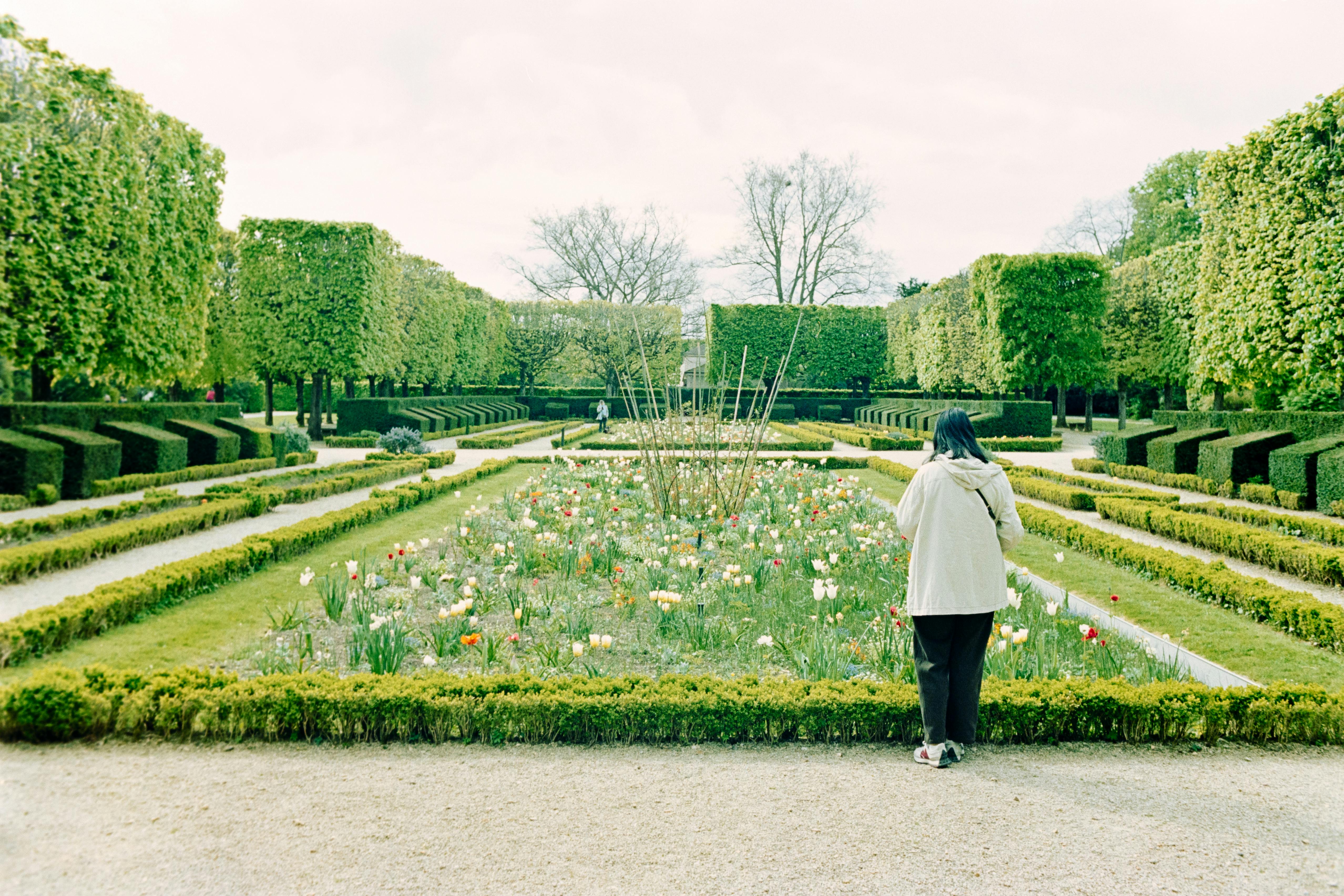 Fort-de-France Skyline