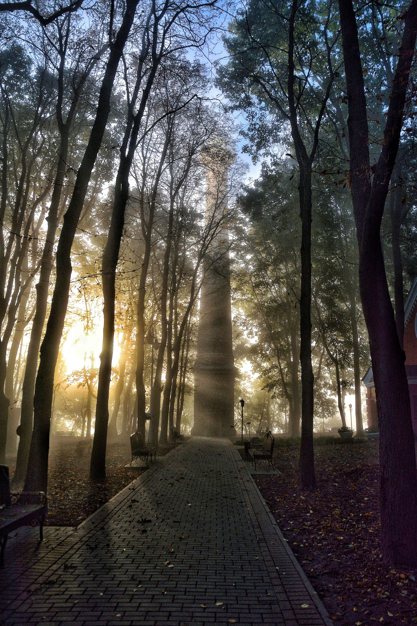 Illustrative forest path symbolizing an ongoing recovery journey
