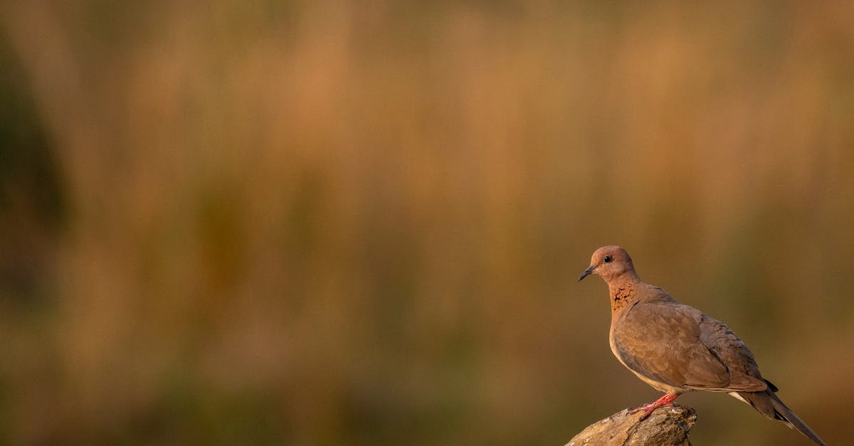 花蓮國際疊石藝術季 感受七星潭山海之美