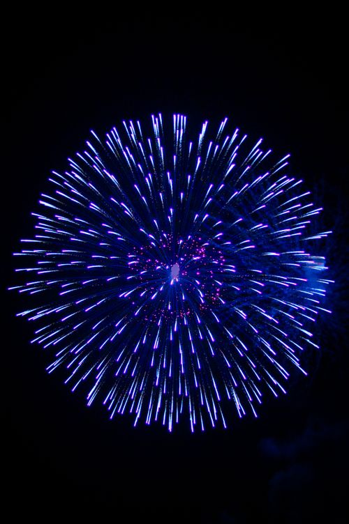 Free Captivating display of blue fireworks exploding against a dark night sky, celebrating a festive occasion. Stock Photo