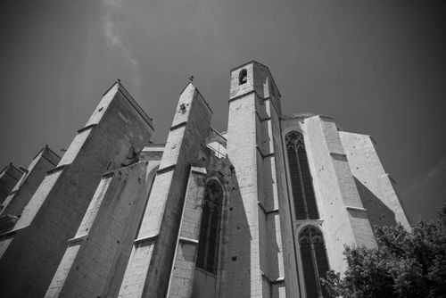 Free Black and white photo of the Saint-Maximin Basilica showcasing Gothic architecture against a clear sky. Stock Photo