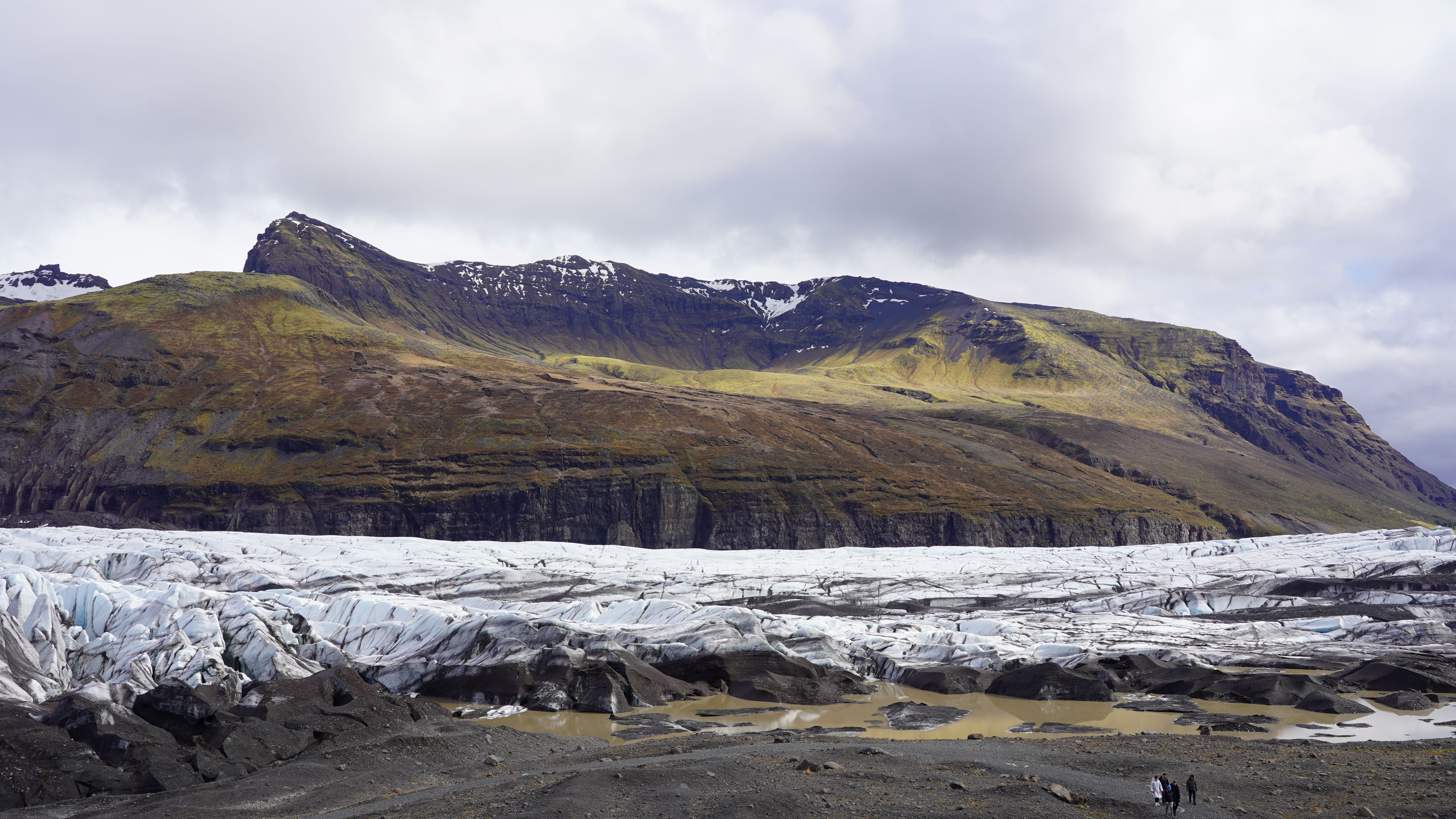 Best Tour Companies in Iceland — Photo by X1ntao ZHOU on Pexels