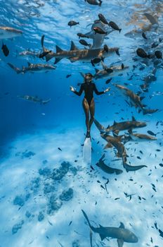 A diver gliding through the ocean surrounded by sharks and fish, a mesmerizing underwater scene.
