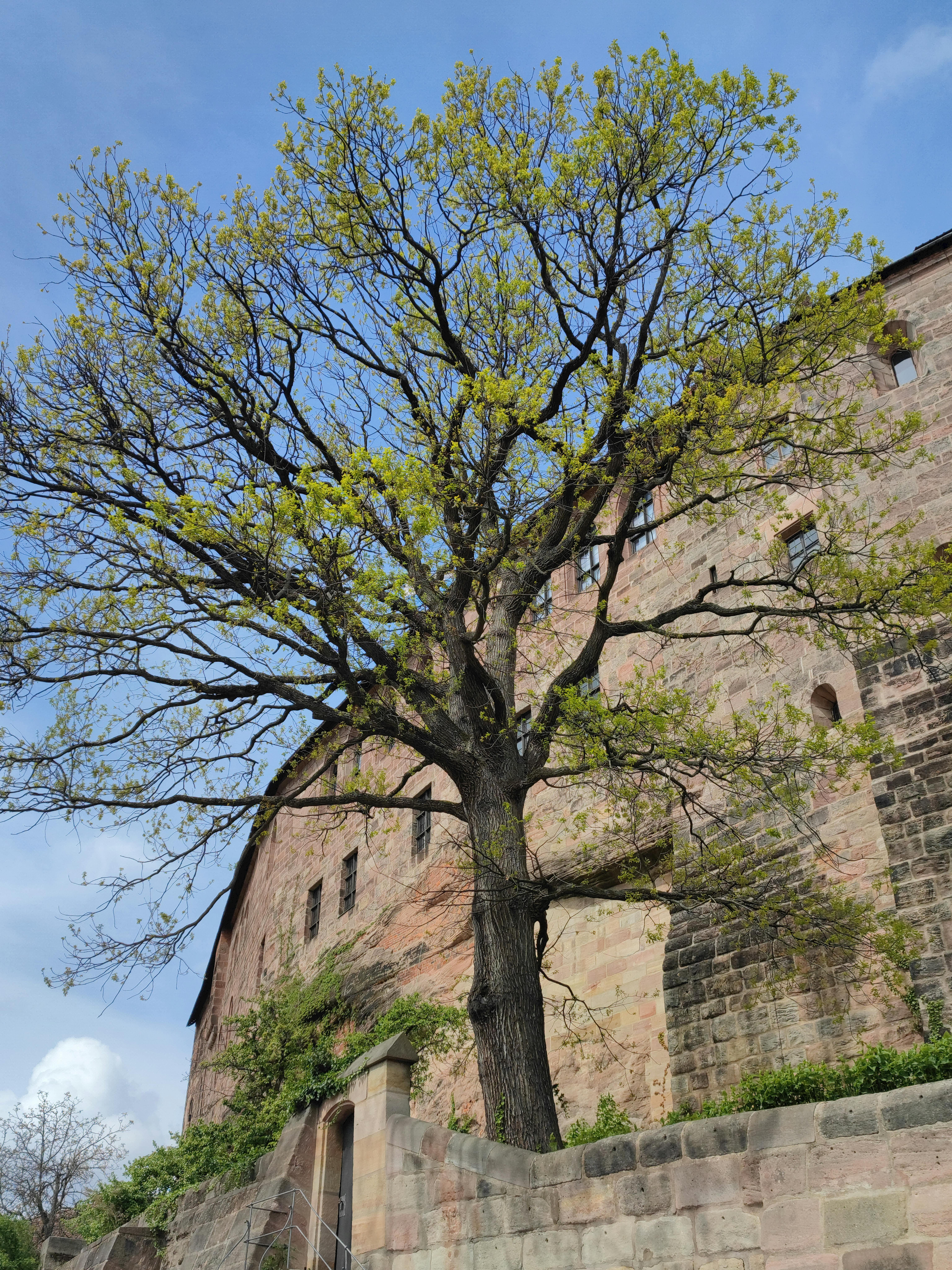 Fortress Biotech Photos Download The BEST Free Fortress Biotech Stock