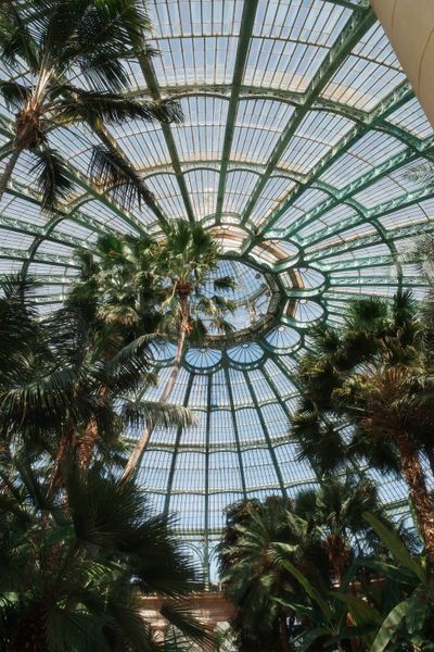 Glass botanical dome interior — A. on Pexels