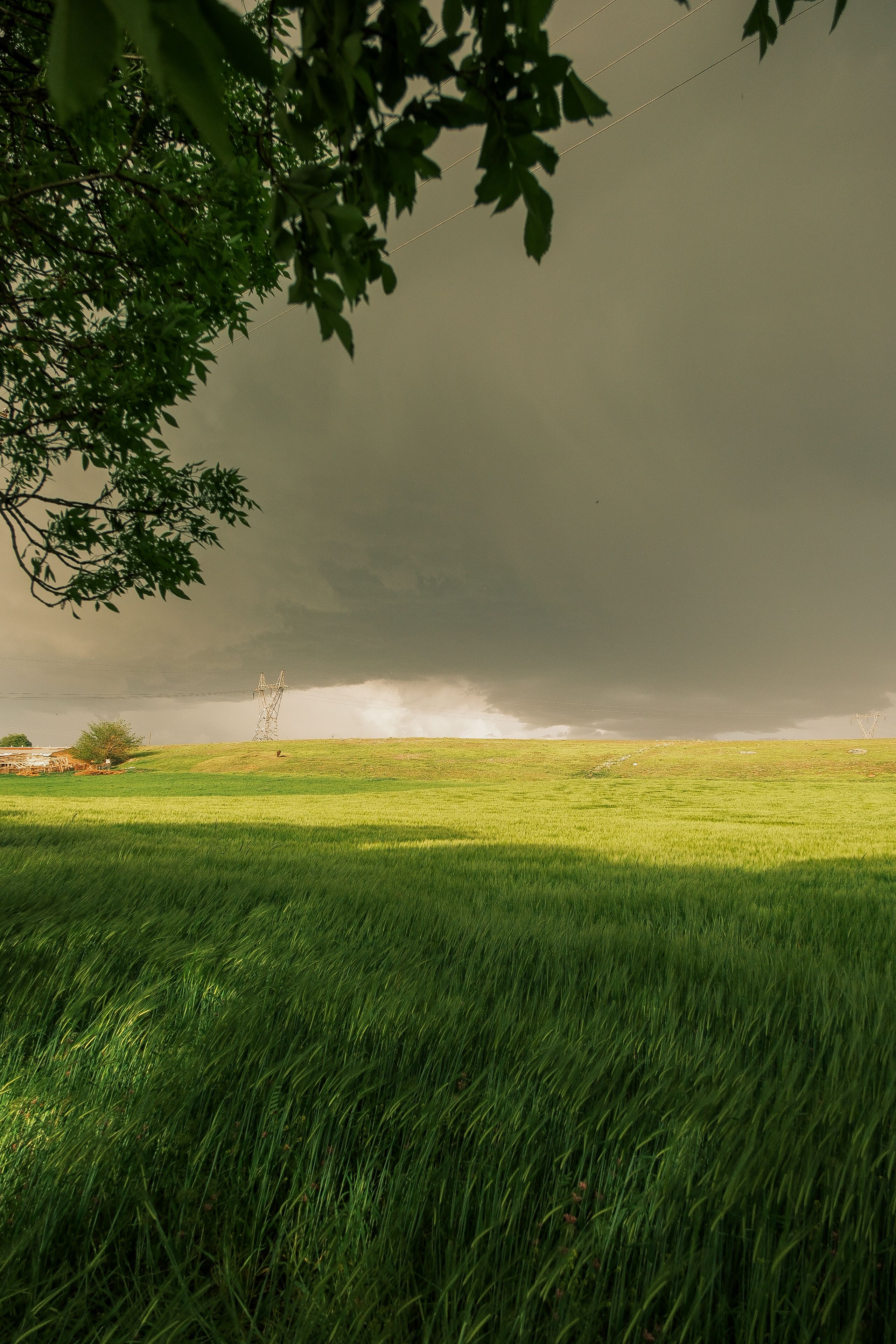 Stormy Sky Over Lush Green Field Landscape · Free Stock Photo