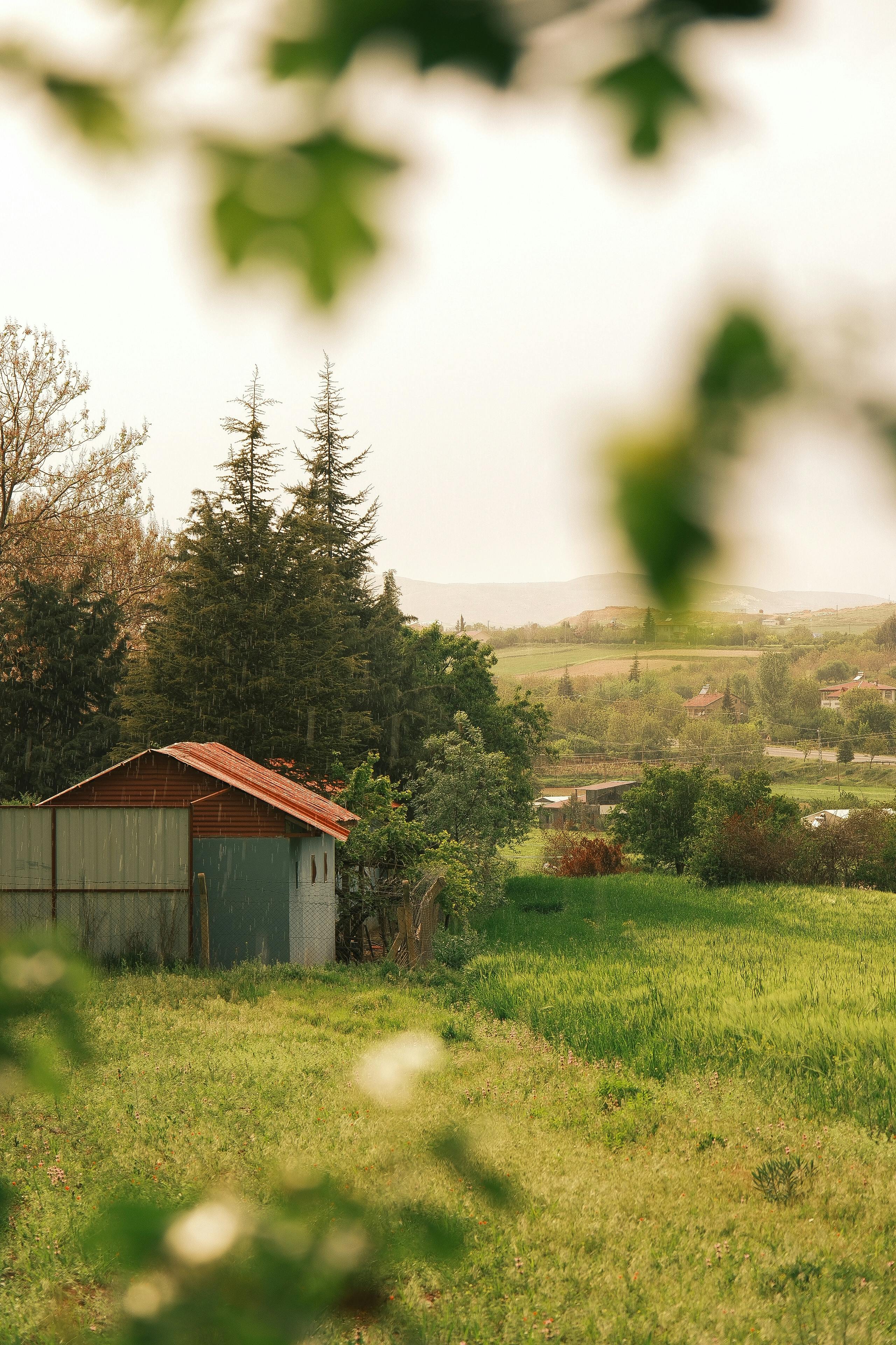 Tranquil rural scene featuring an old shed in a lush green field.