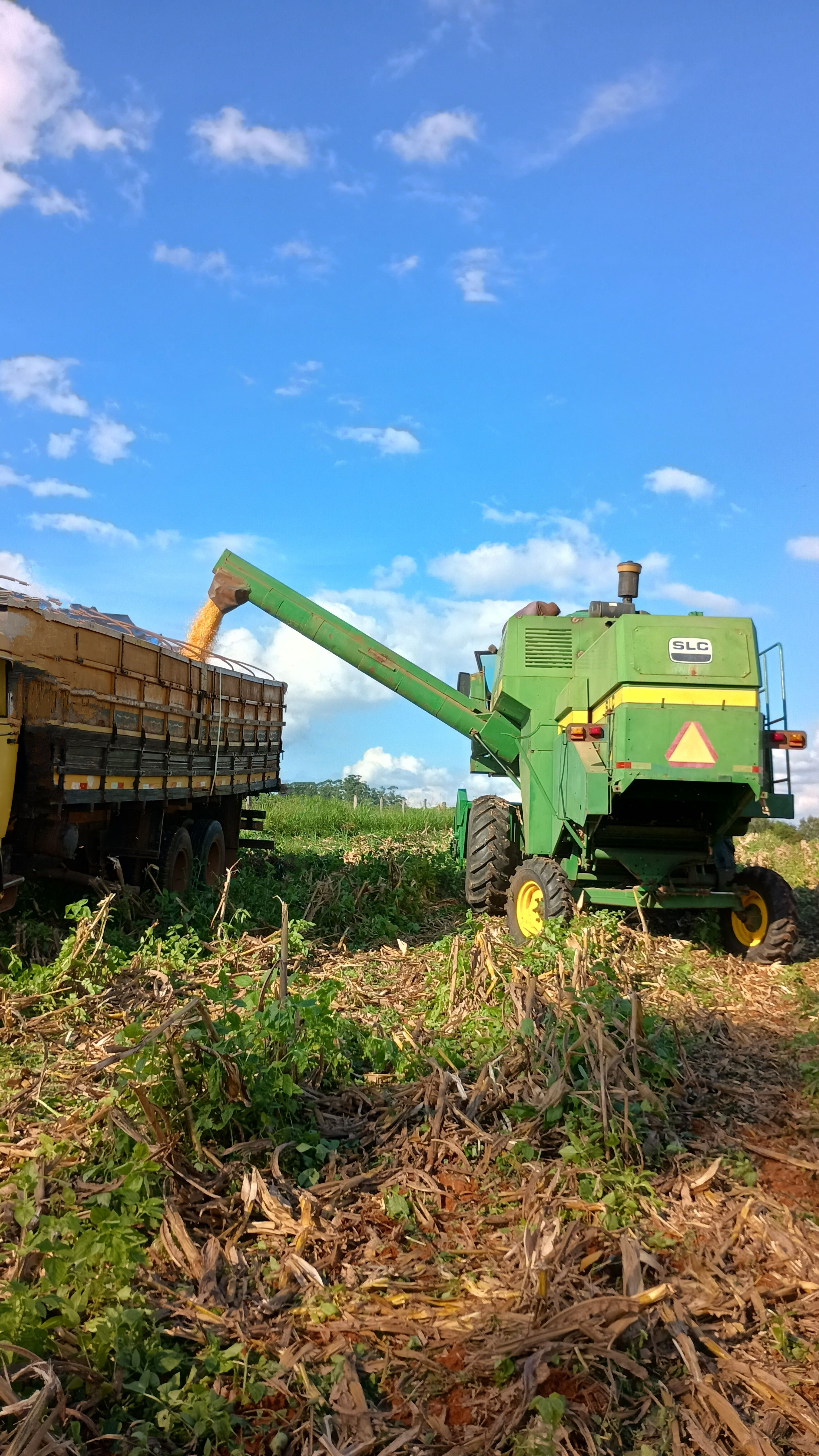 Sementes Adquiridas Pela Internet Desviam Produtor Rural do Espírito Santo